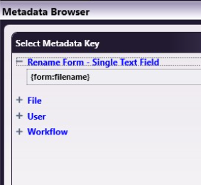 Metadata Browser showing the field selected