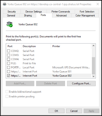 Windows Print Queue dialog box.
